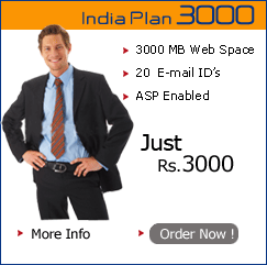 web hostiing india plan 3000