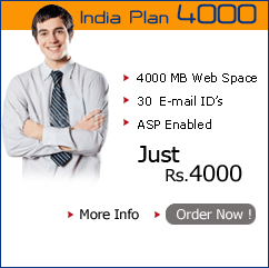 web hostiing india plan 4000